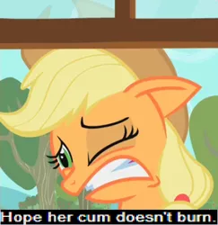 Size: 371x382 | Tagged: suggestive, derpibooru import, edit, edited screencap, screencap, applejack, earth pony, pony, the show stoppers, 1000 hours in ms paint, caption, cropped, expand dong, exploitable meme, futa, greentext, image macro, implied cum, intersex, meme, solo, text