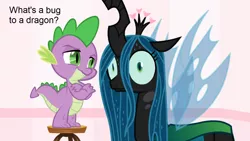 Size: 1366x768 | Tagged: safe, derpibooru import, edit, queen chrysalis, spike, changeling, changeling queen, dragon, ..., anxiety, baby, baby dragon, badass, badass adorable, confident, confused, crossed arms, cute, cutealis, dialogue, duo, epic, faic, fangs, fear, female, fridge horror, fridge logic, hardcore, help me, helpless, high ground, hilarious in hindsight, humor, intimidating, irony, logic, looking at you, male, mare, menacing, mind blown, nervous, oh crap, oh crap face, panic, panic attack, payback, ptsd, realization, revenge, rivalry, role reversal, savage, scared, shocked, shrunken pupils, size difference, smaller male, smiling, smirk, smug, spikabetes, spread wings, stool, sudden realization, sweat, text, the implications are horrible, the tables have turned, this will end in death, this will end in pain, this will end in tears, this will end in tears and/or death, wall of tags, wat, wide eyes, wings, worried, your argument is invalid
