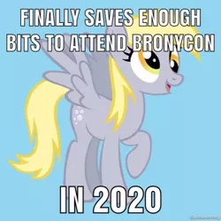 Size: 500x500 | Tagged: safe, derpibooru import, derpy hooves, pegasus, pony, bronycon, 2019, 2020, bits, end of bronycon, female, image macro, mare, meme, solo, text