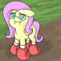 Size: 400x400 | Tagged: source needed, safe, artist:happy harvey, derpibooru import, fluttershy, pegasus, pony, :i, :t, boxing gloves, cute, dirt, drawn on phone, floppy ears, frown, grass, looking at you, looking up, no pupils, ponified animal photo, puffy cheeks, sad, sadorable, shyabetes, solo, wat