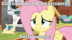 Size: 600x337 | Tagged: safe, derpibooru import, edit, edited screencap, screencap, fluttershy, butterfly, fluttershy leans in, animated, baby talk, begging, cute, daaaaaaaaaaaw, floppy ears, gif, hnnng, image macro, meme, pretty please, puppy dog eyes, pure unfiltered evil, shyabetes, smiling, this will end in identity theft, totally innocent, weapons-grade cute