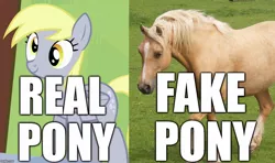 Size: 1058x626 | Tagged: blatant lies, derpibooru import, derpy hooves, editor:useraccount, fake pony, image macro, irl, irl horse, irl pony, meme, photo, real pony, safe, screencap