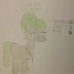 Size: 1799x1800 | Tagged: safe, artist:jerryakira79, derpibooru import, oc, oc:sandra walters, unofficial characters only, earth pony, pony, female, reference sheet, traditional art