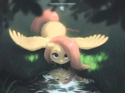 Size: 2528x1877 | Tagged: safe, artist:katputze, derpibooru import, fluttershy, pegasus, pony, beautiful, cute, drinking, female, grass, looking at you, looking up, mare, reflection, scenery, scenery porn, shyabetes, solo, spread wings, water, wings