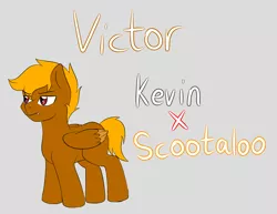 Size: 2893x2229 | Tagged: safe, artist:jolliapplegirl, derpibooru import, oc, oc:victorious march, changeling, pegasus, pony, changeling oc, colt, male, next generation, parent:kevin, parent:scootaloo, parents:keviloo, solo