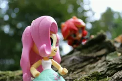 Size: 6000x4000 | Tagged: safe, artist:artofmagicpoland, derpibooru import, fluttershy, sunset shimmer, equestria girls, clothes, doll, equestria girls minis, eqventures of the minis, exploitable meme, female, lesbian, looking at each other, meme, nature is so fascinating, relaxing, shipping, skirt, spying, sunshyne, tanktop, toy