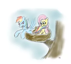 Size: 1309x1188 | Tagged: artist:werdkcub, atg 2018, behaving like a bird, biting, derpibooru import, duo, fluttershy, nest, newbie artist training grounds, rainbow dash, safe, tail bite, traditional art, tree, tree branch