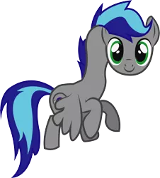 Size: 1504x1661 | Tagged: safe, artist:electrochoc, derpibooru import, oc, oc:erenra, unofficial characters only, pegasus, pony, male, simple background, solo, transparent background, vector, wat