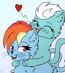 Size: 2282x2557 | Tagged: safe, artist:php80, derpibooru import, fleetfoot, rainbow dash, cat, blushing, catified, chest fluff, commission, ear fluff, eyes closed, female, fleetdash, fluffy, heart, holding, lesbian, licking, open mouth, rainbow cat, shipping, simple background, species swap, tongue out, white background