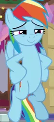 Size: 482x1078 | Tagged: safe, derpibooru import, screencap, rainbow dash, pegasus, pony, the hearth's warming club, cropped, faic, female, flying, hooves on hips, lidded eyes, mare, smiling, smirk, smug, smugdash, solo