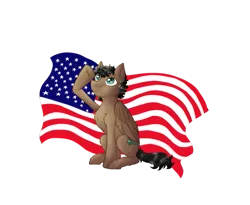 Size: 987x810 | Tagged: safe, artist:0silverstardust0, derpibooru import, oc, unofficial characters only, earth pony, pony, flag, male, simple background, sitting, solo, transparent background, united states