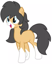 Size: 836x1027 | Tagged: safe, artist:piñita, derpibooru import, oc, oc:zarza zarevna, unofficial characters only, earth pony, pony, bald face, body markings, simple background, socks (coat marking), two-tone coat, vector, white background