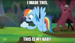 Size: 869x500 | Tagged: safe, derpibooru import, edit, edited screencap, screencap, rainbow dash, pegasus, pony, the end in friend, cloud, cloud baby, female, flying, i made this, mare, solo, swamp