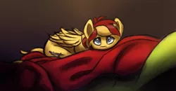 Size: 3854x2000 | Tagged: safe, artist:syntaxartz, derpibooru import, oc, oc:archi sketch, pegasus, pony, blanket, cute, fabric, male, smol, solo