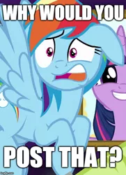 Size: 500x690 | Tagged: cropped, derpibooru import, edit, edited screencap, female, floppy ears, grannies gone wild, image macro, mare, meme, question, rainbow dash, reaction image, safe, screencap, solo focus, twilight sparkle, why would you post that