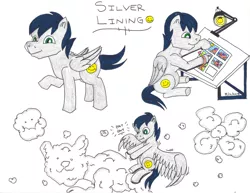 Size: 2189x1691 | Tagged: safe, artist:jamestkelley, derpibooru import, oc, oc:silver lining, cat, pegasus, pony, cartoonist, cloud, cloud sculpting, drawing, flower, male, smiley face, smiling, solo, stallion