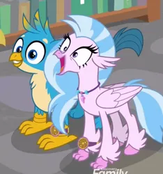 Size: 594x634 | Tagged: safe, derpibooru import, screencap, gallus, silverstream, classical hippogriff, gryphon, hippogriff, a matter of principals, bookshelf, cute, diastreamies, duo, female, gallabetes, male, open mouth, varying degrees of want