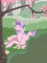 Size: 960x1280 | Tagged: safe, artist:shoneysbear, derpibooru import, twilight sparkle, alicorn, pony, alicornified, cherry blossoms, eyes closed, female, flower, flower blossom, forest, g1, mare, peaceful, race swap, repoussoir, smiling, solo
