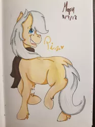 Size: 1280x1707 | Tagged: safe, artist:euspuche, derpibooru import, oc, oc:pierrot fisher, earth pony, pony, looking at you, smiling, traditional art