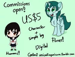 Size: 1600x1200 | Tagged: safe, artist:unicodingunicorn, derpibooru import, human, commission info