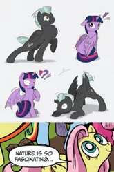 Size: 1495x2268 | Tagged: safe, artist:ravenpuff, deleted from derpibooru, derpibooru import, fluttershy, thunderlane, twilight sparkle, twilight sparkle (alicorn), alicorn, pegasus, pony, :t, behaving like a bird, blushing, chest fluff, confused, courtship, cute, dancing, exploitable meme, eyes on the prize, face down ass up, female, floppy ears, fluffy, lip bite, looking back, male, mare, mating dance, meme, nature is so fascinating, open mouth, pose, raised hoof, shipping, spread wings, stallion, straight, twilane, wide eyes, wingboner, wings