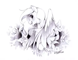 Size: 1020x784 | Tagged: source needed, safe, artist:lillayfran, derpibooru import, oc, oc:arvensis, unofficial characters only, pegasus, pony, black and white, blushing, colored wings, colored wingtips, female, flower, grayscale, happy, mare, monochrome, pencil drawing, simple background, smiling, solo, traditional art, white background