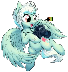 Size: 2647x2785 | Tagged: safe, artist:thesamstudio, derpibooru import, oc, oc:breeze swirl, unofficial characters only, pegasus, pony, background removed, camera, china ponycon, cute, dog tags, female, mare, mascot, ocbetes, prance and party, simple background, solo, spread wings, transparent background, wings