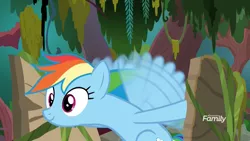 Size: 1920x1080 | Tagged: safe, derpibooru import, screencap, rainbow dash, pegasus, pony, the end in friend, boat, buzzing wings, discovery family logo, female, flapping, froggy bottom bog, mare, motion blur, raft, s.s. cragadile, smiling, solo, swamp, wings