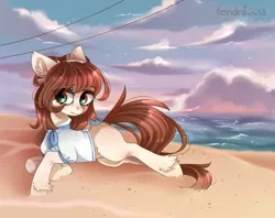 Size: 2247x1779 | Tagged: safe, artist:ten-dril, derpibooru import, oc, unofficial characters only, earth pony, pony, beach, clothes, female, mare, prone, shirt, solo