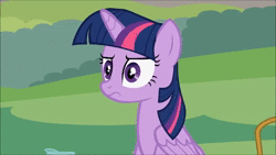 Size: 854x480 | Tagged: safe, artist:forgalorga, derpibooru import, edit, twilight sparkle, twilight sparkle (alicorn), alicorn, pegasus, pony, animated, behaving like a bird, book, cloud, dumb and dumber, female, frown, male, mare, mating call, most annoying sound in the world, phone, sitting, sound, stallion, webm