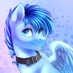 Size: 1300x1300 | Tagged: safe, artist:hakaina, derpibooru import, oc, oc:happy dream, unofficial characters only, pegasus, pony, abstract background, bust, collar, ear fluff, looking at you, male, portrait, smiling, solo, spread wings, stallion, wings