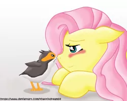 Size: 952x754 | Tagged: safe, artist:khaotixdreamfd, derpibooru import, fluttershy, bird, pegasus, pony, porg, blush sticker, blushing, duo, female, mare, nose to nose, signature, simple background, solo, star wars, star wars: the last jedi, white background