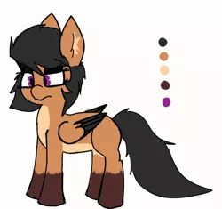 Size: 1280x1203 | Tagged: safe, artist:exxie, derpibooru import, oc, oc:exxie, unofficial characters only, pegasus, pony, black mane, maned wolf pony, purple eyes, reference sheet, simple background, white background, wings