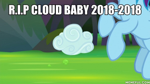 Size: 600x337 | Tagged: safe, derpibooru import, edit, edited screencap, screencap, rainbow dash, pony, the end in friend, cloud, cloud baby, image macro, meme