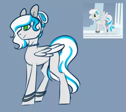 Size: 1024x911 | Tagged: safe, artist:icey-wicey-1517, artist:jacobdawz, derpibooru import, oc, oc:platinum desires, unofficial characters only, pegasus, pony, pony creator, anklet, blue background, bracelet, female, hair bun, jewelry, mare, necklace, redesign, simple background, solo