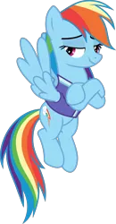 Size: 1771x3417 | Tagged: safe, artist:frownfactory, derpibooru import, rainbow dash, pegasus, pony, the end in friend, .svg available, clothes, crossed arms, cutie mark, female, half-closed eyes, mare, shirt, simple background, smug, solo, svg, transparent background, vector, wings
