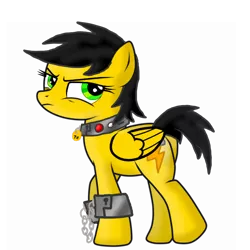 Size: 768x768 | Tagged: safe, artist:thunder burst, derpibooru import, oc, oc:thundara burst, oc:thunder burst, unofficial characters only, pegasus, pony, bomb collar, chains, collar, cuffs, cutie mark, electronic collar, looking at you, shackles, shock collar, simple background, slave, slave collar, slavery, solo, spanish, transparent background