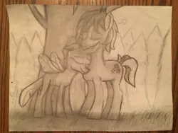 Size: 4032x3024 | Tagged: safe, artist:drawer450, derpibooru import, ocellus, sandbar, changedling, changeling, earth pony, pony, fanfic:love letter, eyes closed, female, male, ocelbar, shipping, straight, traditional art