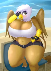 Size: 2500x3500 | Tagged: suggestive, artist:coatieyay, derpibooru import, gilda, anthro, gryphon, beach, big breasts, blushing, breasts, busty gilda, chubby, clothes, curvy, extra thicc, female, fingerless gloves, gloves, hourglass figure, huge breasts, image, impossibly large breasts, plump, png, shorts, stupid sexy gilda, thunder thighs, wide hips