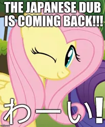 Size: 606x735 | Tagged: safe, derpibooru import, editor:useraccount, fluttershy, rarity, pegasus, pony, bilingual, image macro, japanese, japanese dub, meme, one eye closed, solo focus, tomodachi wa mahou, wink