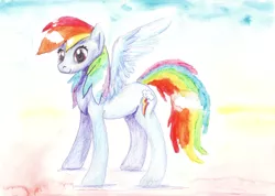 Size: 2293x1634 | Tagged: safe, artist:mandumustbasukanemen, derpibooru import, rainbow dash, pegasus, pony, atg 2018, colored pencil drawing, female, mare, newbie artist training grounds, smiling, solo, standing, traditional art, watercolor painting