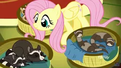 Size: 1920x1080 | Tagged: safe, derpibooru import, screencap, fluttershy, chipmunk, ferret, pegasus, pony, raccoon, yakity-sax, basket, blanket, chipmunks, cute, female, fluttershy's cottage, mare, regular show, rigby, shyabetes, sleeping