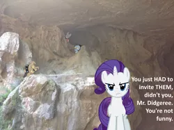 Size: 1024x765 | Tagged: artist:didgereethebrony, cave, derpibooru import, dialogue, diamond dog, implied didgeree, irl, jenolan caves, looking at you, mlp in australia, offscreen character, photo, ponies in real life, pov, rarity, safe, unamused