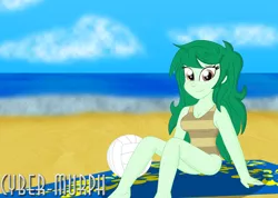 Size: 4192x2992 | Tagged: safe, artist:cyber-murph, derpibooru import, wallflower blush, equestria girls, equestria girls series, forgotten friendship, beach, blanket, breasts, busty wallflower blush, cleavage, clothes, cute, flowerbetes, freckles, looking at you, one-piece swimsuit, sand, signature, sitting, sports, swimsuit, volleyball