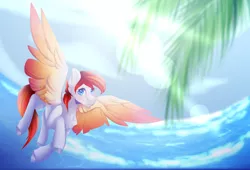 Size: 2612x1779 | Tagged: safe, artist:mauuwde, derpibooru import, oc, oc:heartfire, pegasus, pony, beach, chest fluff, cloud, colored wings, flying, gradient wings, lens flare, looking at you, male, ocean, sky, solo, spread wings, stallion, wings