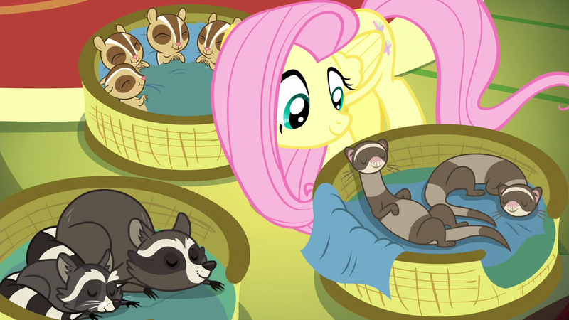 Size: 1280x720 | Tagged: chipmunk, derpibooru import, ferret, fluttershy, raccoon, regular show, rigby, safe, screencap, yakity-sax