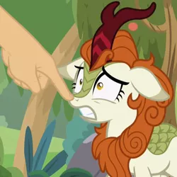 Size: 800x800 | Tagged: autumn blaze, boop, boop edit, cropped, derpibooru import, edit, edited screencap, floppy ears, frozen, hand, kirin, non-consensual booping, safe, screencap, solo focus, sounds of silence, teeth