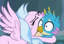 Size: 459x322 | Tagged: safe, derpibooru import, screencap, gallus, silverstream, classical hippogriff, gryphon, hippogriff, what lies beneath, cropped, cute, diastreamies, duo, female, foalcon in description, gallabetes, hug, male, out of context, wtf face