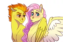 Size: 1280x845 | Tagged: safe, artist:cascayd, derpibooru import, fluttershy, spitfire, blushing, female, lesbian, shipping, simple background, smiling, smirk, spitshy, spread wings, story included, white background, wingboner, wings