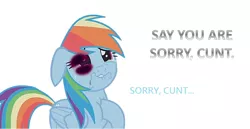 Size: 1066x552 | Tagged: abuse, abuse edit, background pony strikes again, black eye, cunt, dashabuse, derpibooru import, downvote bait, edit, female, poor rainbow dash, rainbow dash, sad, semi-grimdark, vulgar